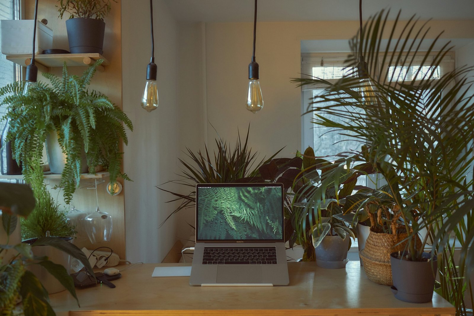 Tipos de plantas para tu espacio de trabajo